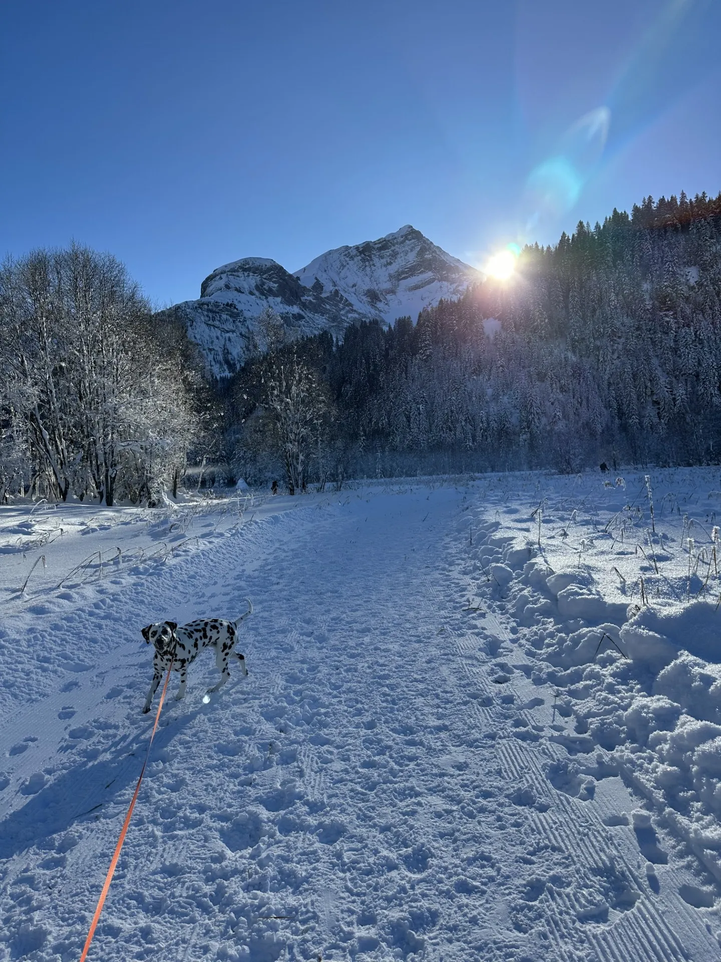 De Lauenensee bij Gstaad